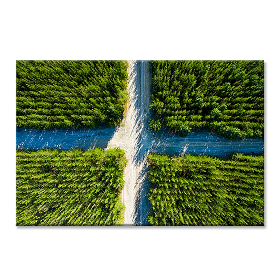 Crossroads by Stuart McAndrew