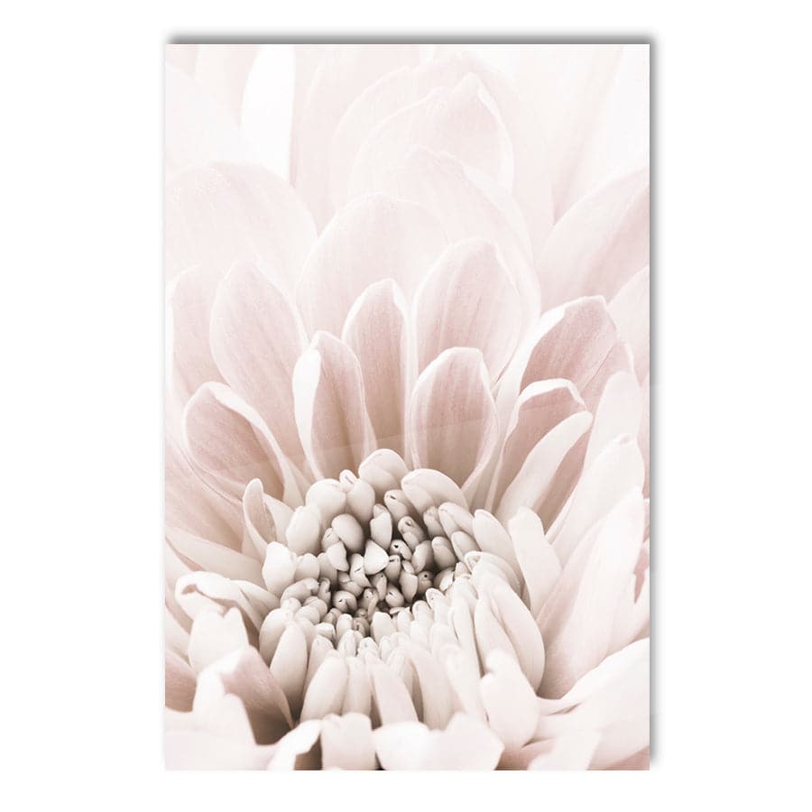 Chrysanthemum 6 by Studio Scandi II