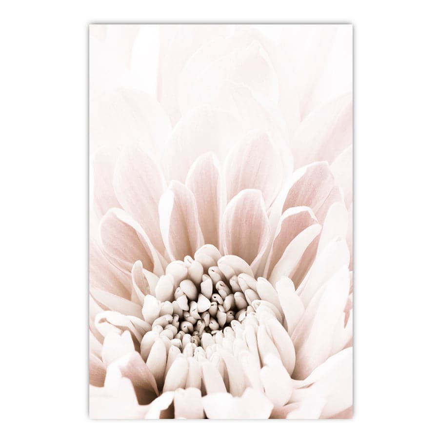 Chrysanthemum 6 by Studio Scandi II
