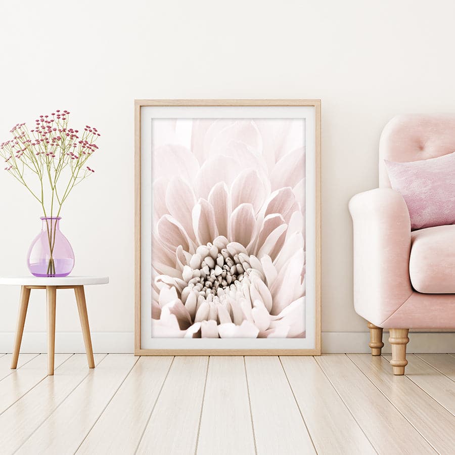 Chrysanthemum 6 by Studio Scandi II
