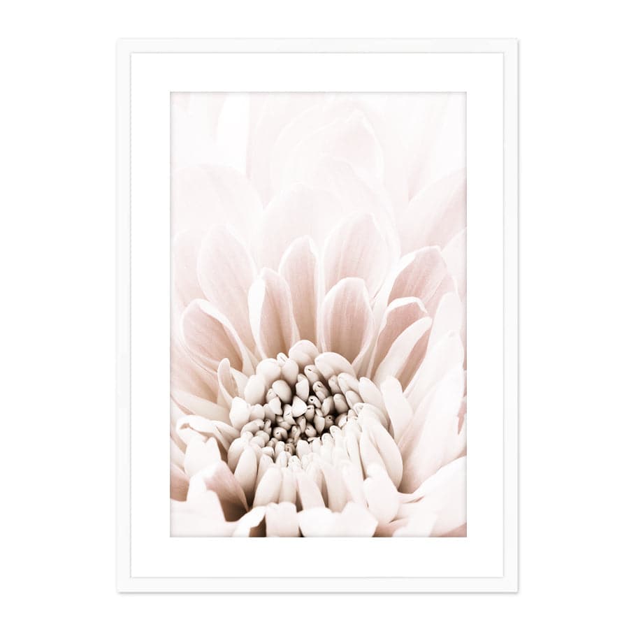 Chrysanthemum 6 by Studio Scandi II
