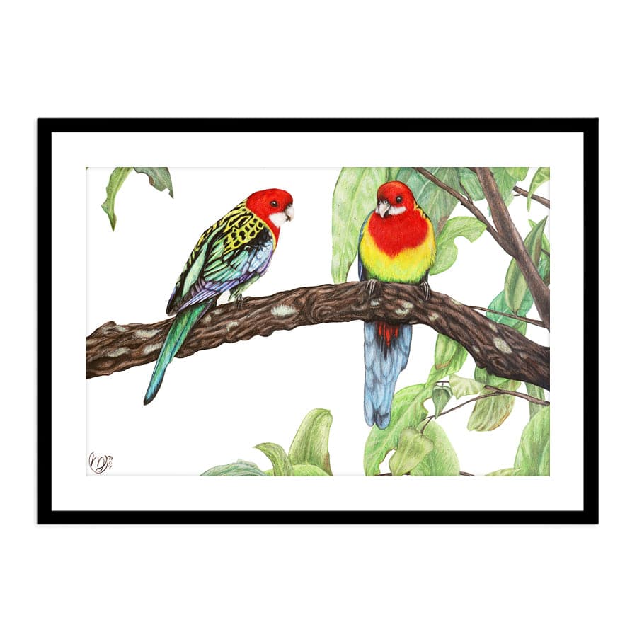 Eastern Rosellas by Mollie Lennon