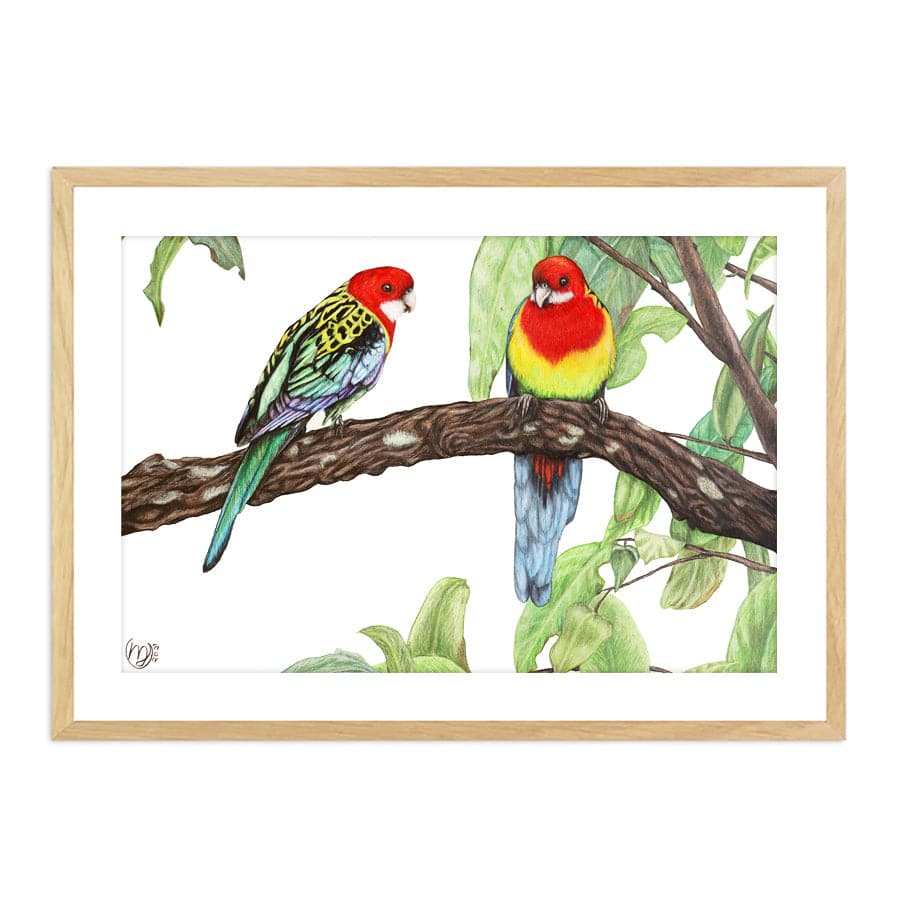 Eastern Rosellas by Mollie Lennon