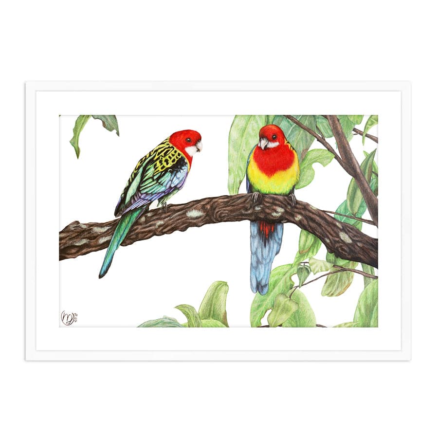Eastern Rosellas by Mollie Lennon