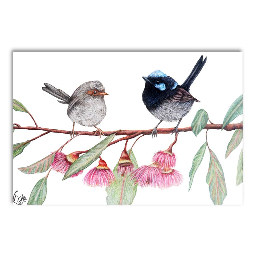 Fairy Wrens with Eucalyptus Blossoms by Mollie Lennon