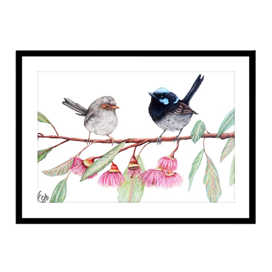 Fairy Wrens with Eucalyptus Blossoms by Mollie Lennon