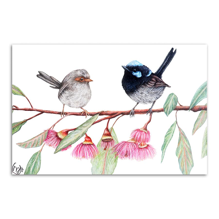 Fairy Wrens with Eucalyptus Blossoms by Mollie Lennon
