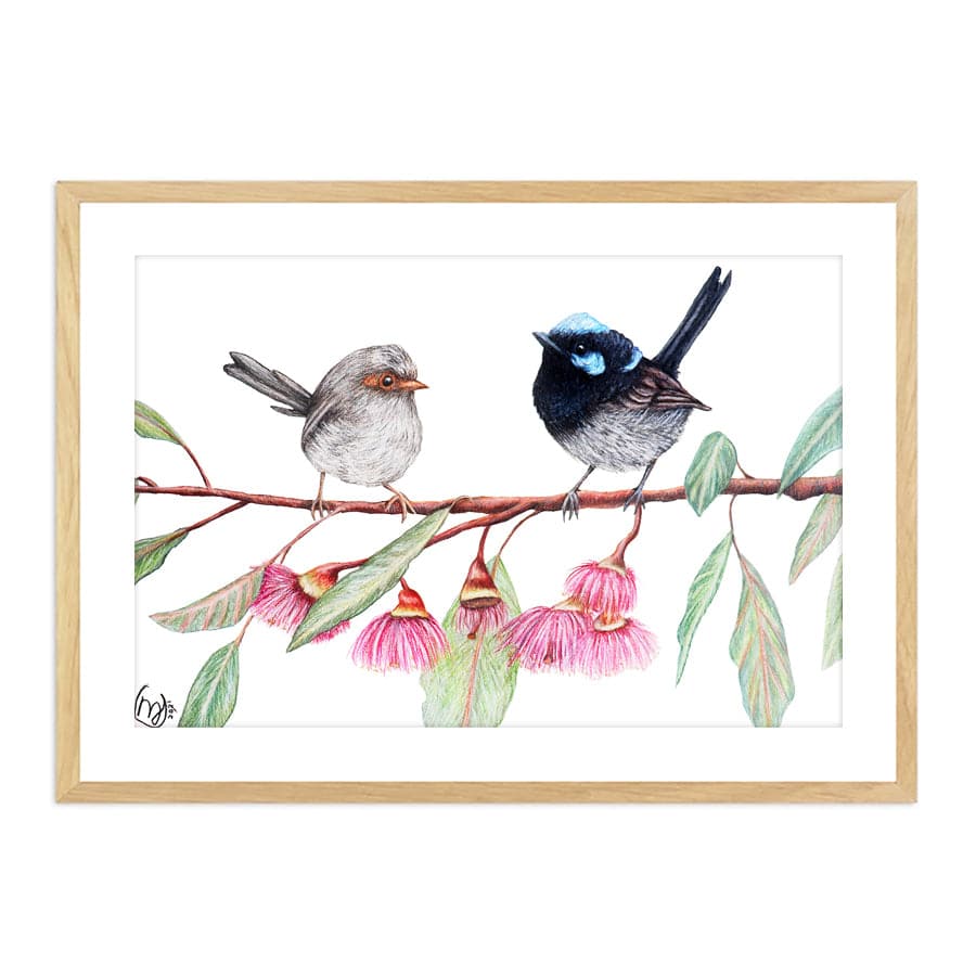 Fairy Wrens with Eucalyptus Blossoms by Mollie Lennon