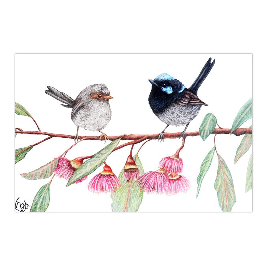 Fairy Wrens with Eucalyptus Blossoms by Mollie Lennon