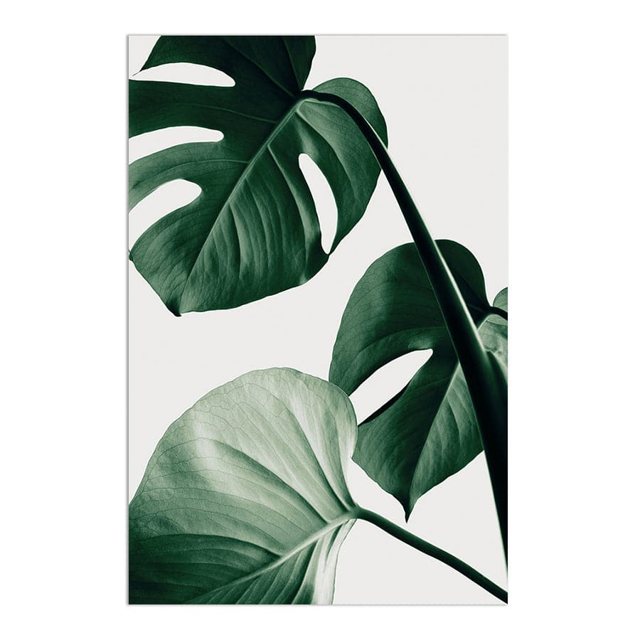 Monstera Natural 42 by Studio Scandi III