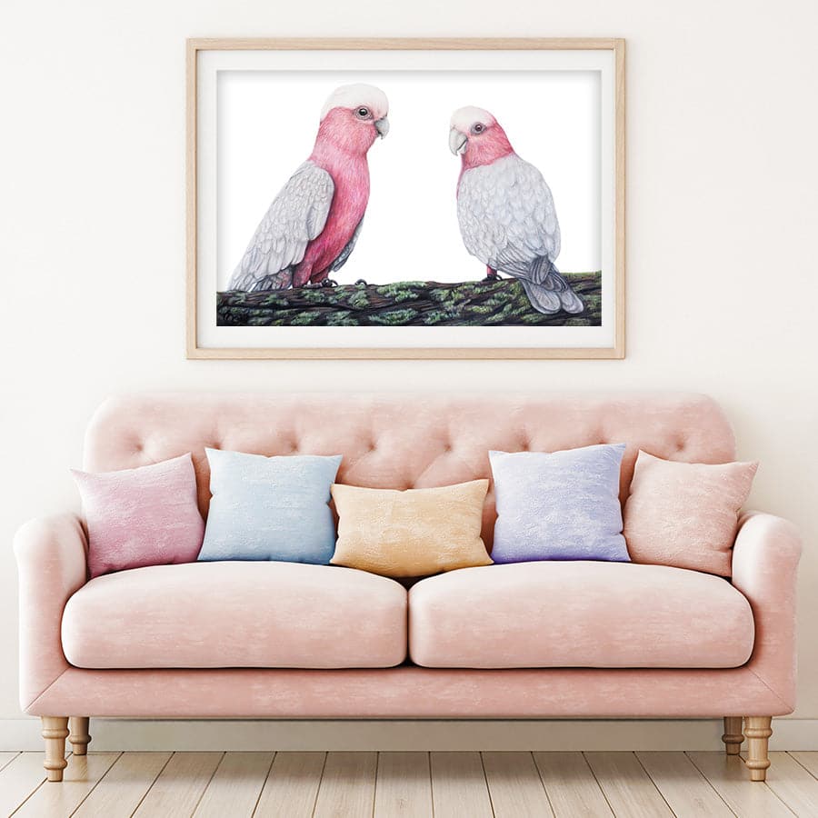 Galahs by Mollie Lennon