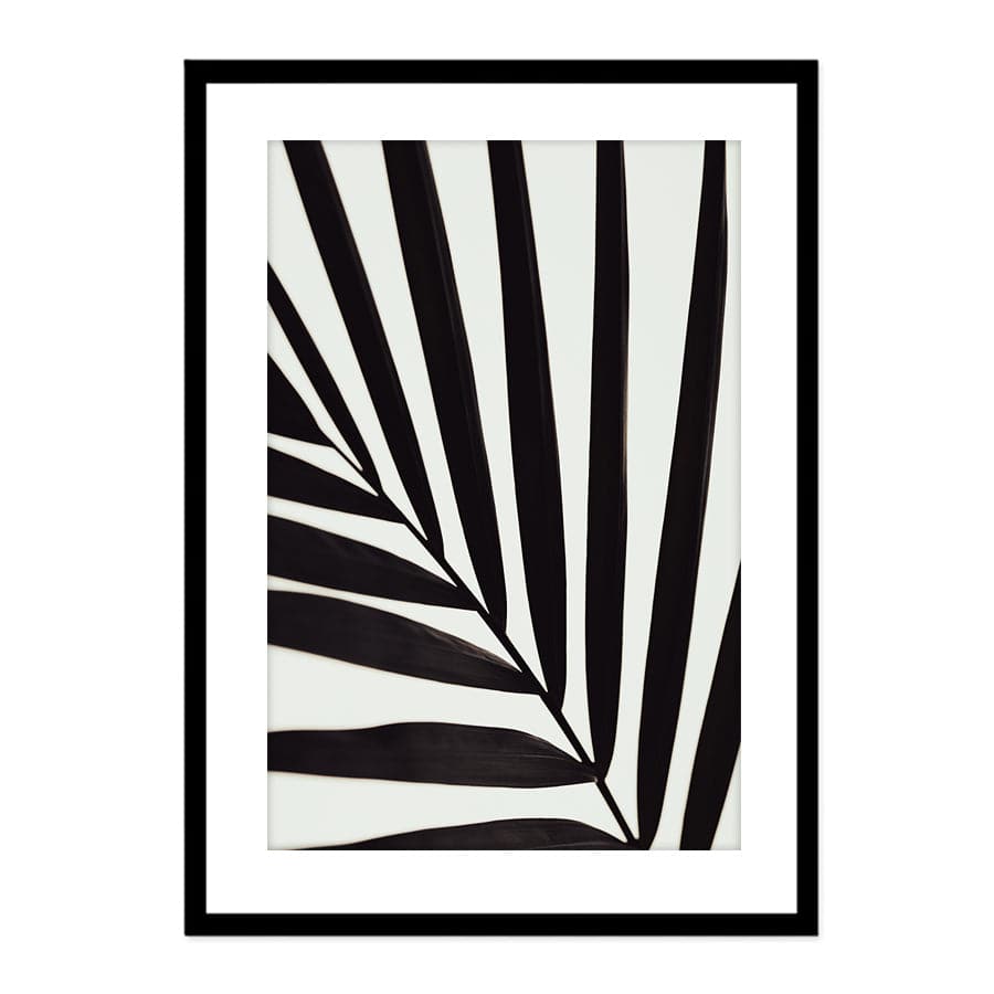 Graphic Palm Leaf I by Studio Scandi II