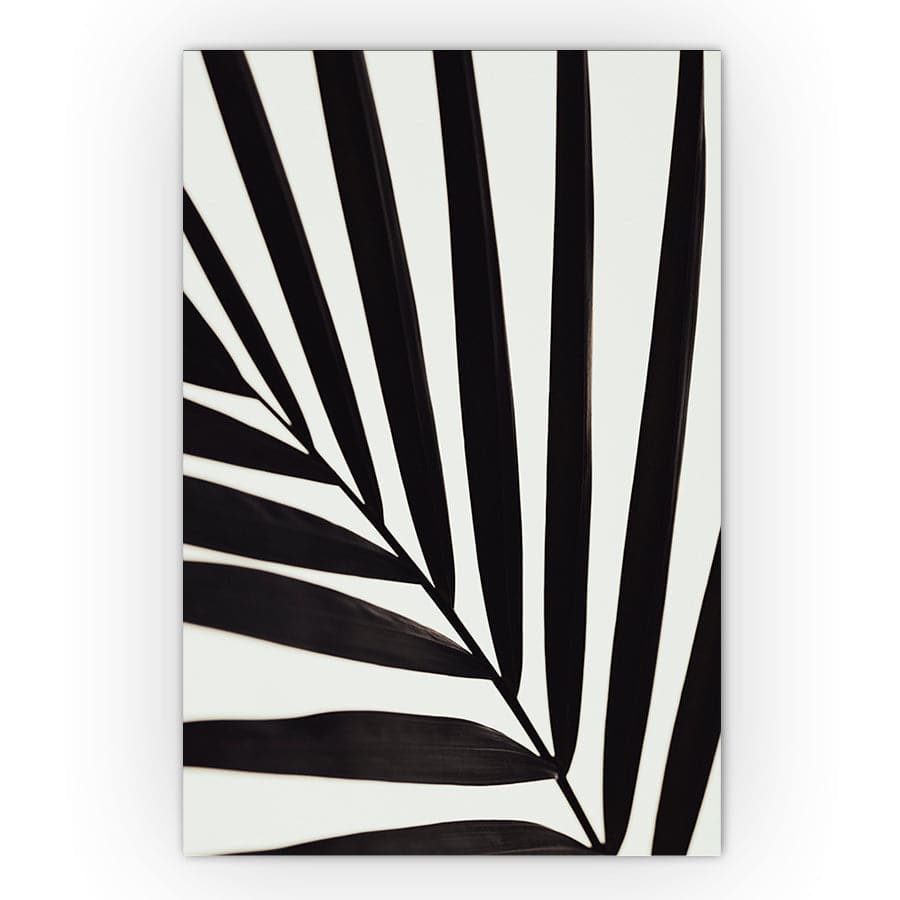 Graphic Palm Leaf I by Studio Scandi II