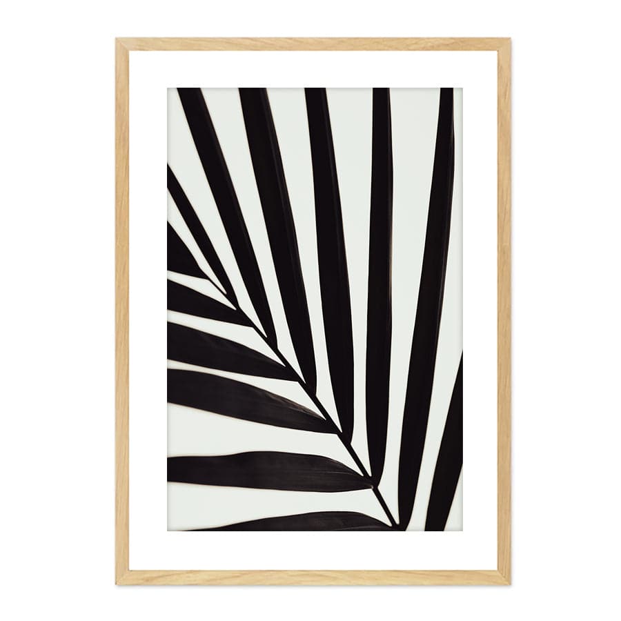 Graphic Palm Leaf I by Studio Scandi II