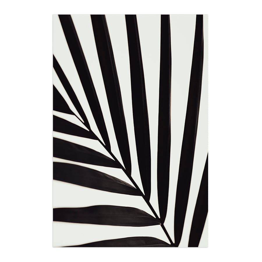 Graphic Palm Leaf I by Studio Scandi II