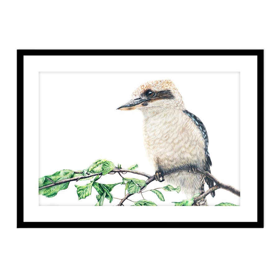 Kookaburra on Shrub by Mollie Lennon