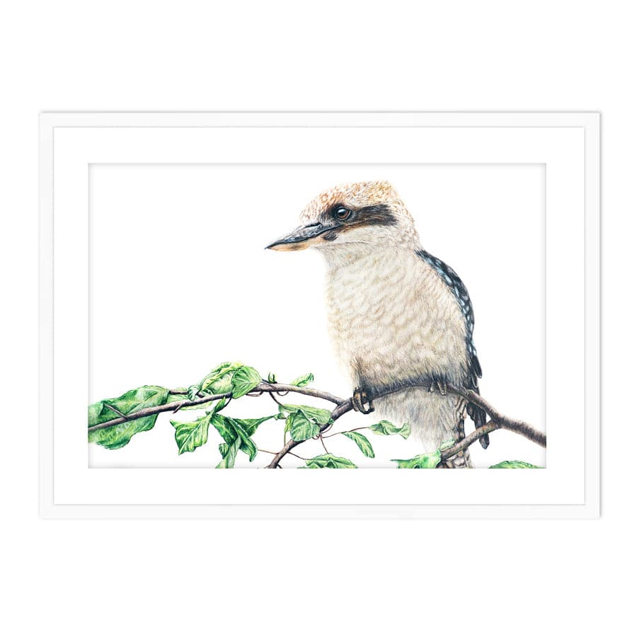 Kookaburra on Shrub by Mollie Lennon