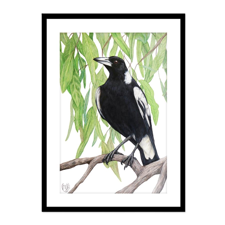 Magpie by Mollie Lennon