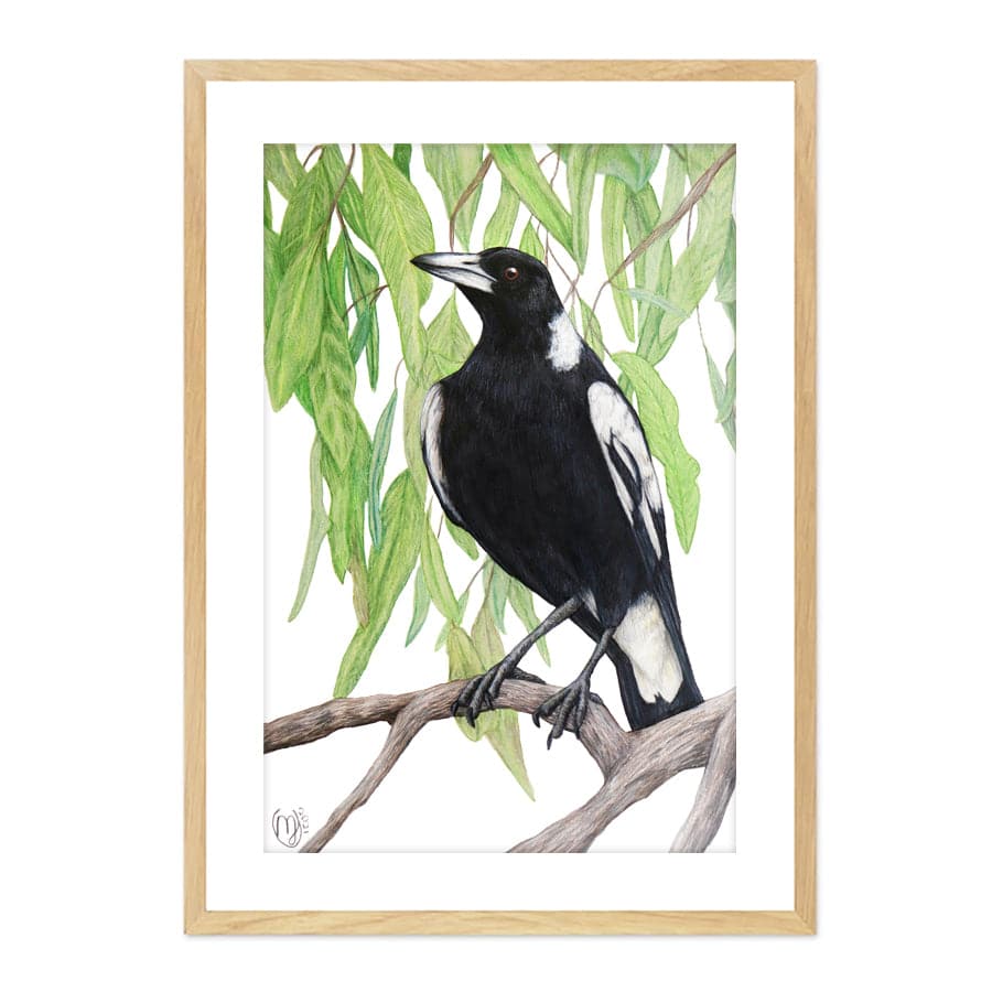 Magpie by Mollie Lennon