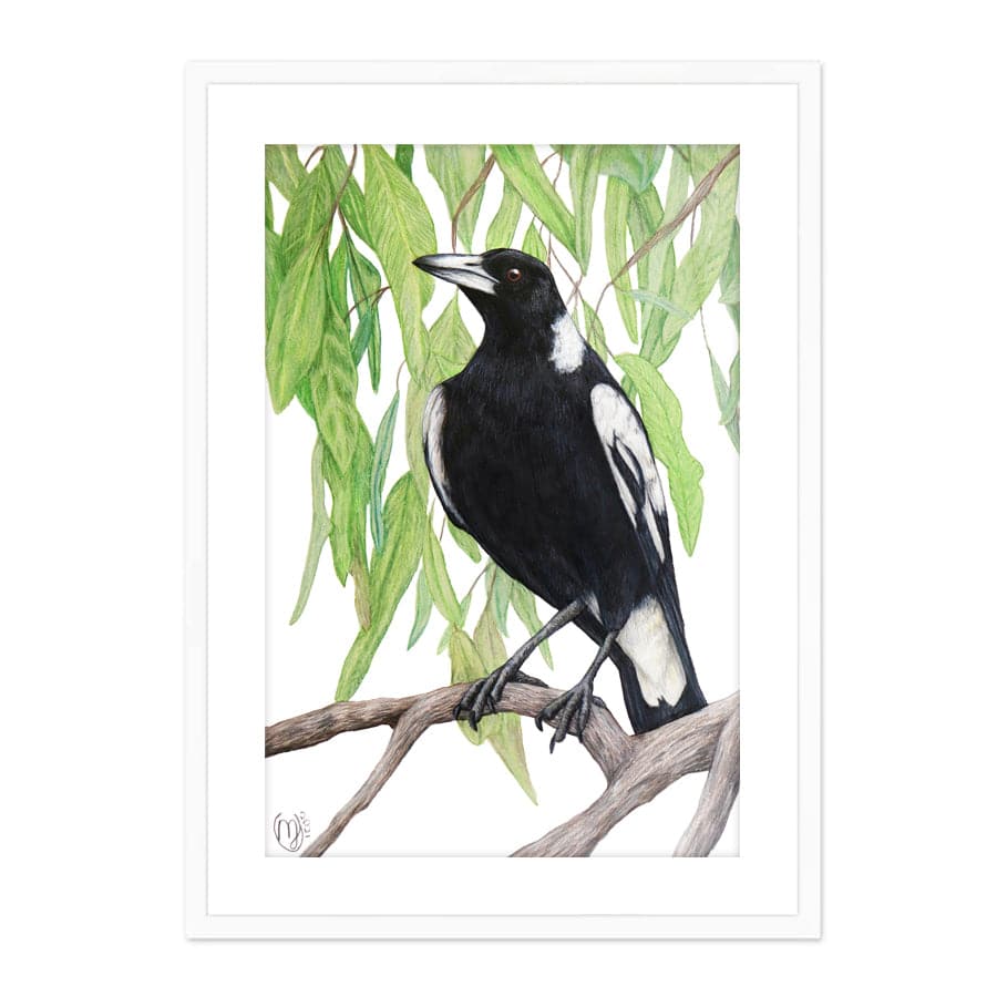 Magpie by Mollie Lennon