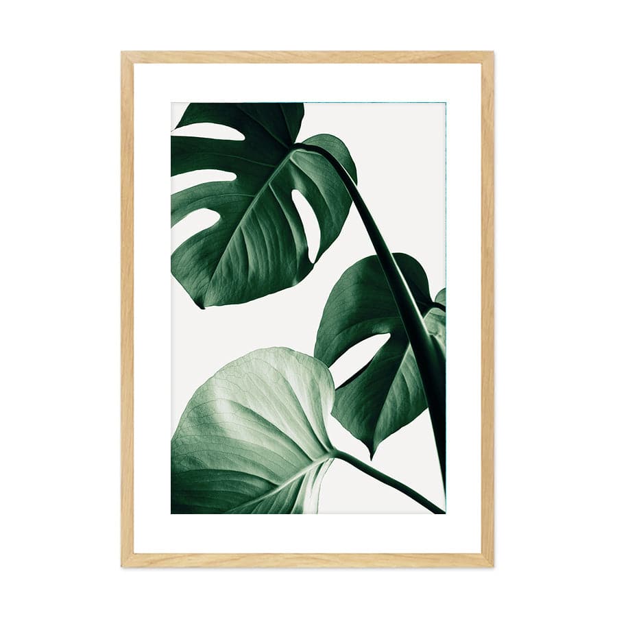 Monstera Natural 42 by Studio Scandi III