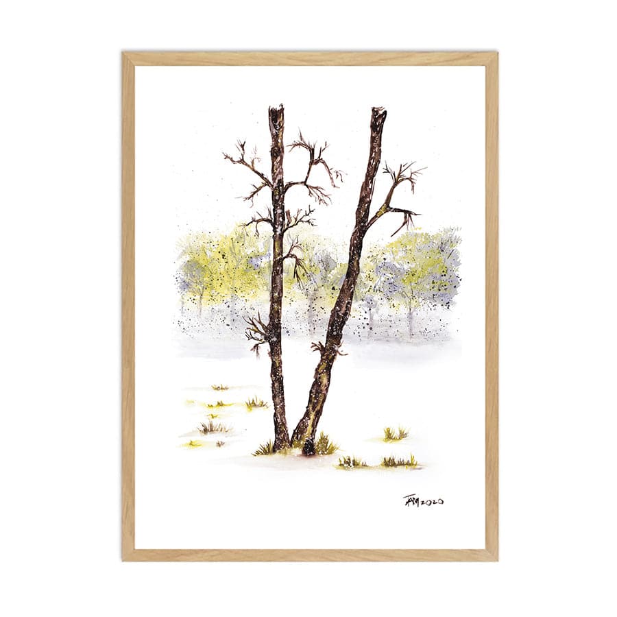 Soft Drift by Tracey Adele