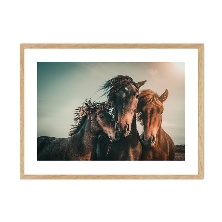 Family Portrait by Marcus Hannen