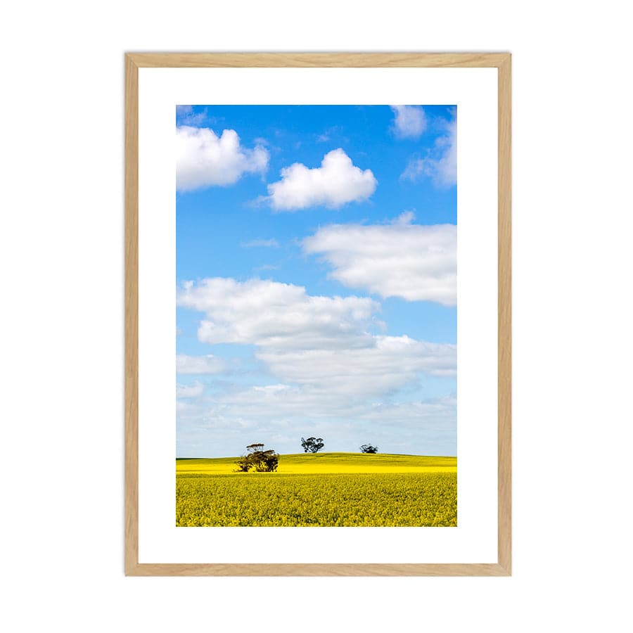 Golden Fields by Stuart McAndrew