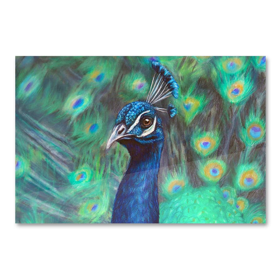Peacock by Mollie Lennon