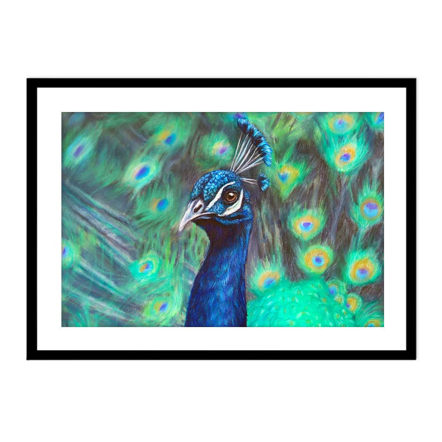 Peacock by Mollie Lennon