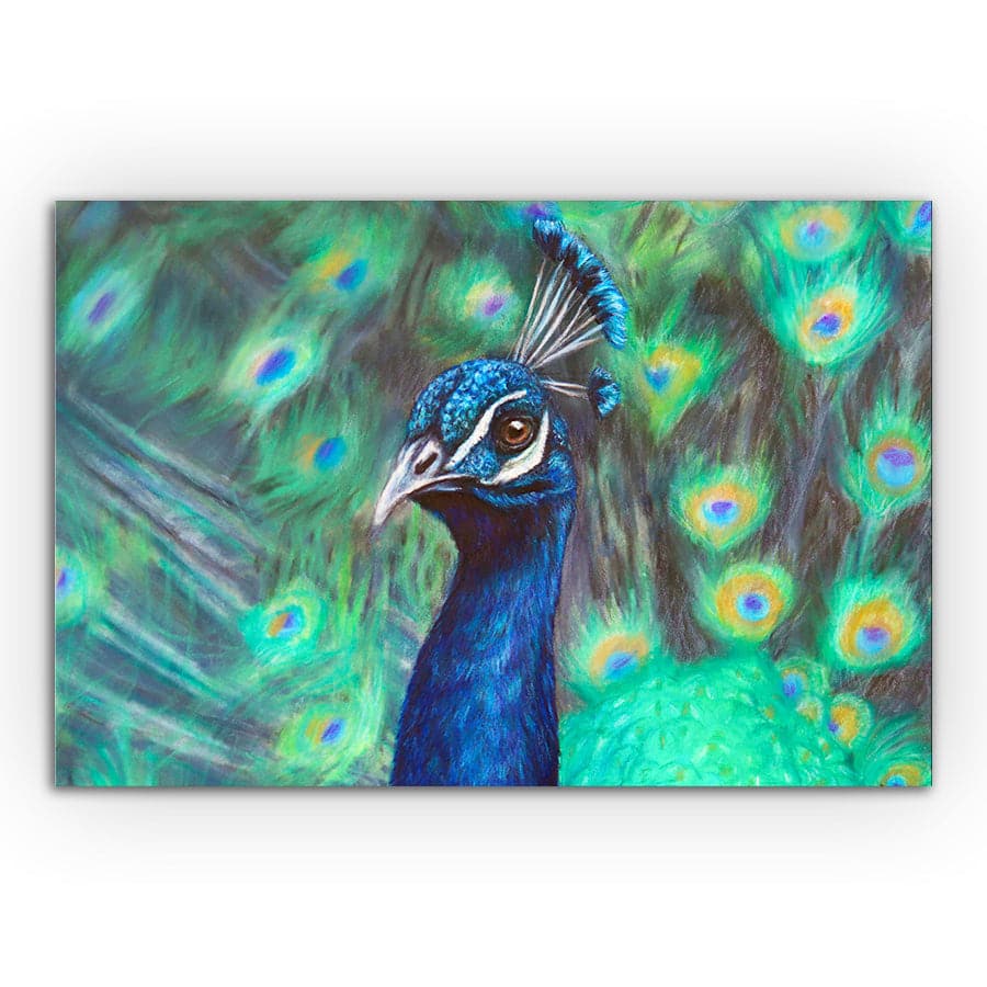 Peacock by Mollie Lennon
