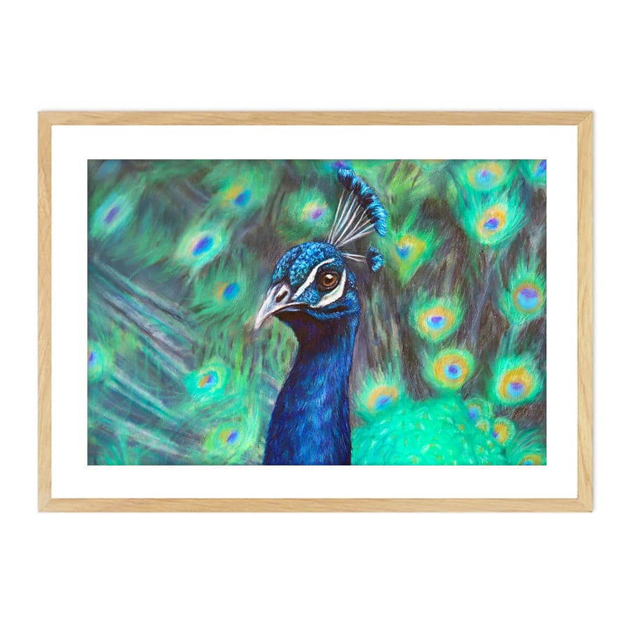 Peacock by Mollie Lennon