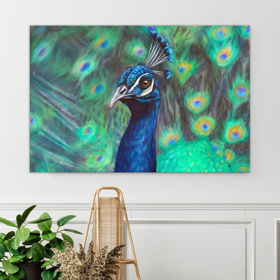Peacock by Mollie Lennon