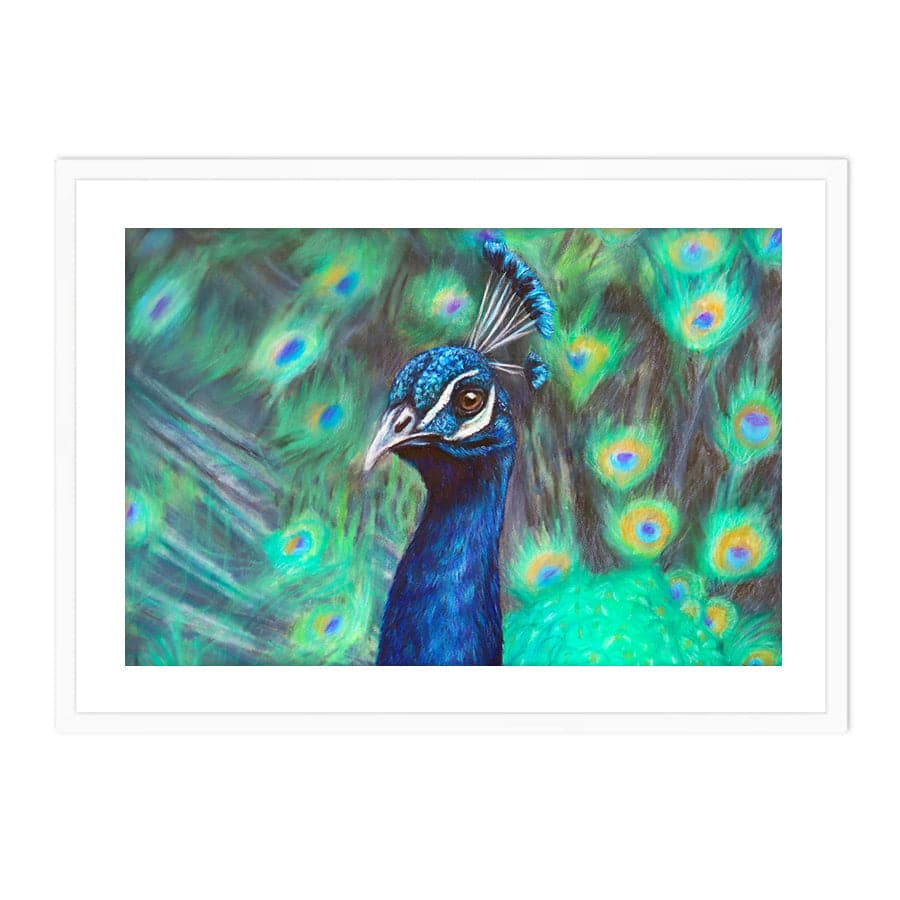 Peacock by Mollie Lennon