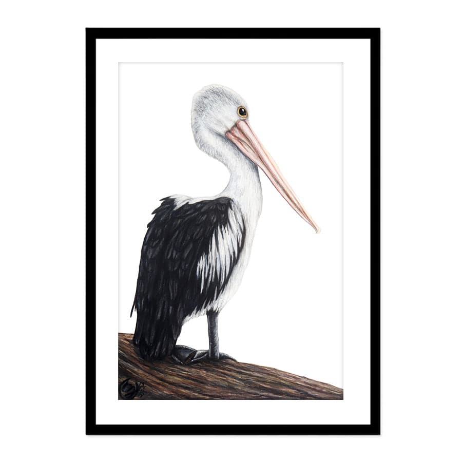 Pelican on Log by Mollie Lennon