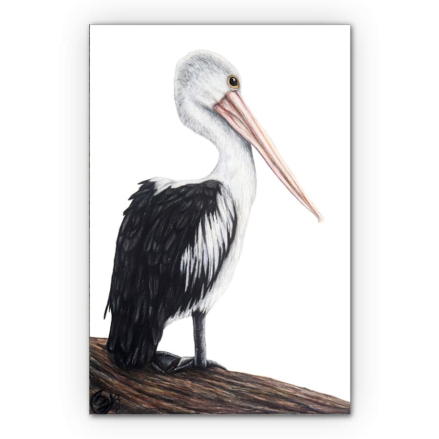 Pelican on Log by Mollie Lennon