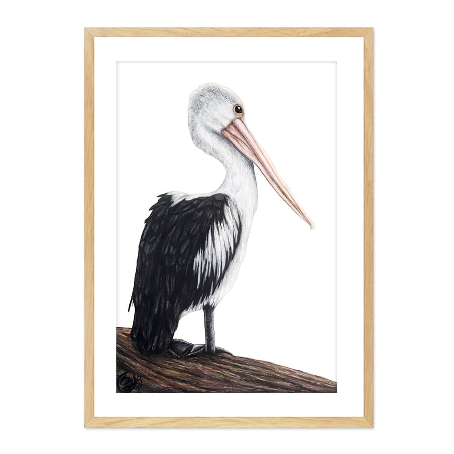 Pelican on Log by Mollie Lennon