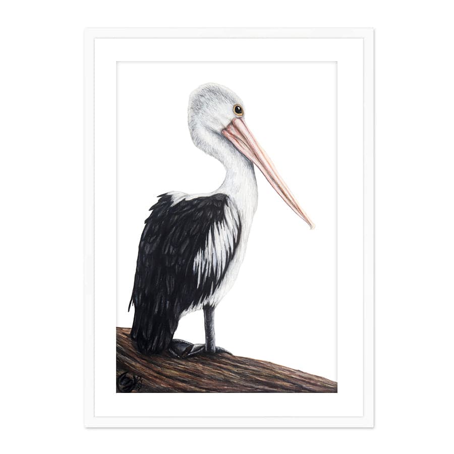 Pelican on Log by Mollie Lennon