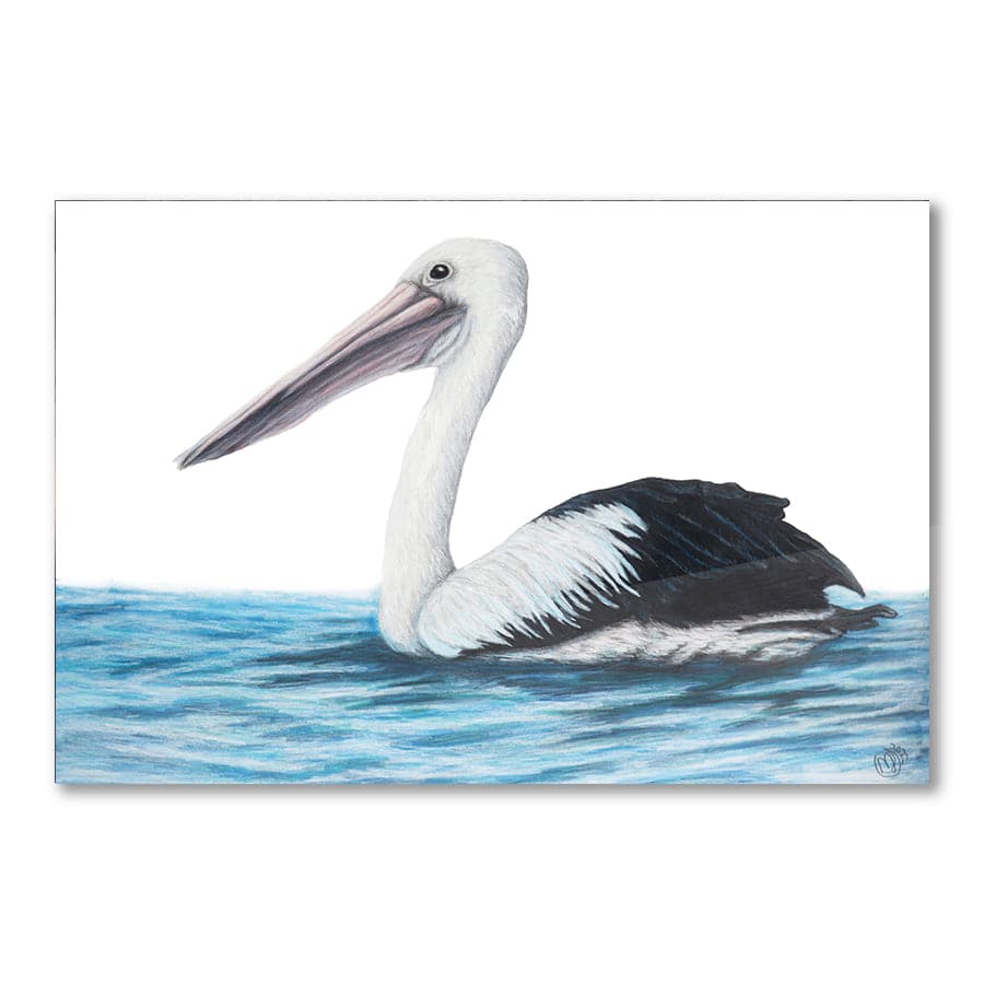 Pelican on Water by Mollie Lennon