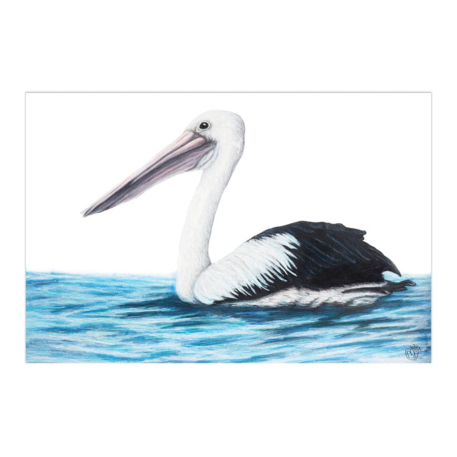 Pelican on Water by Mollie Lennon