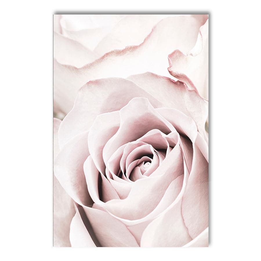 Pink Rose 5 by Studio Scandi II
