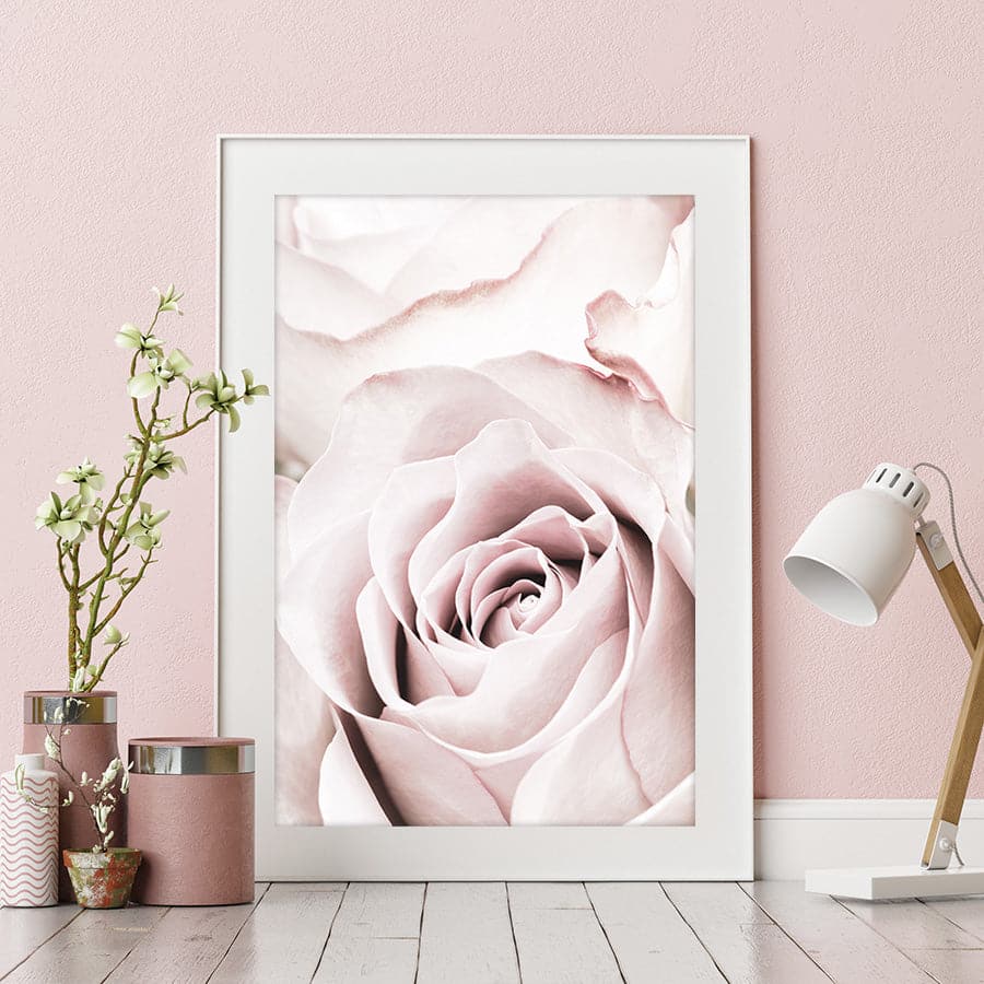 Pink Rose 5 by Studio Scandi II