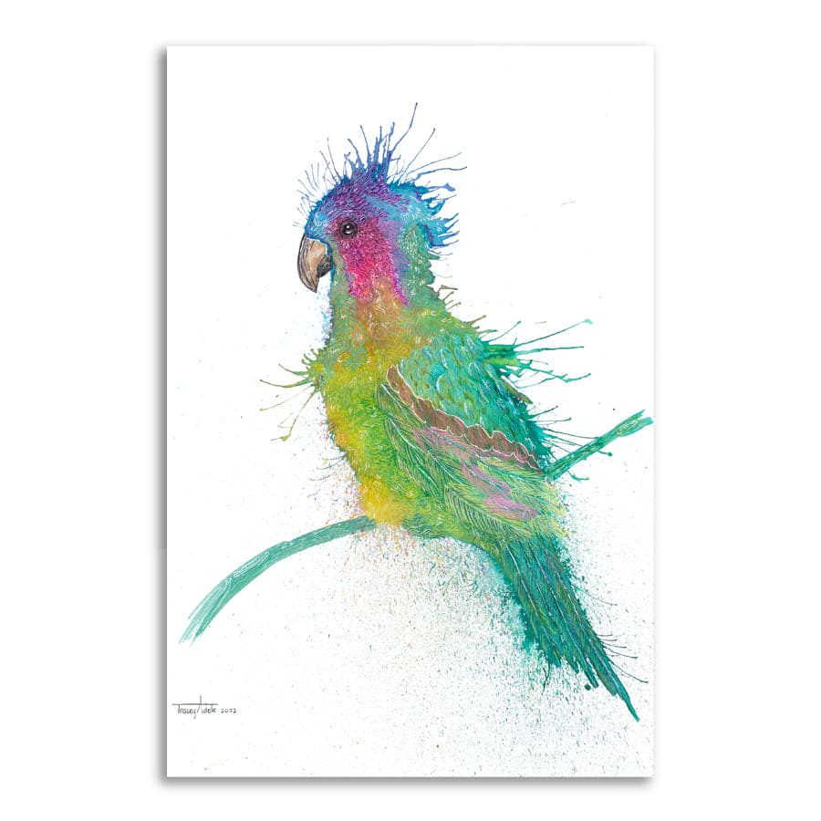 Princess Parrot by Tracey Adele