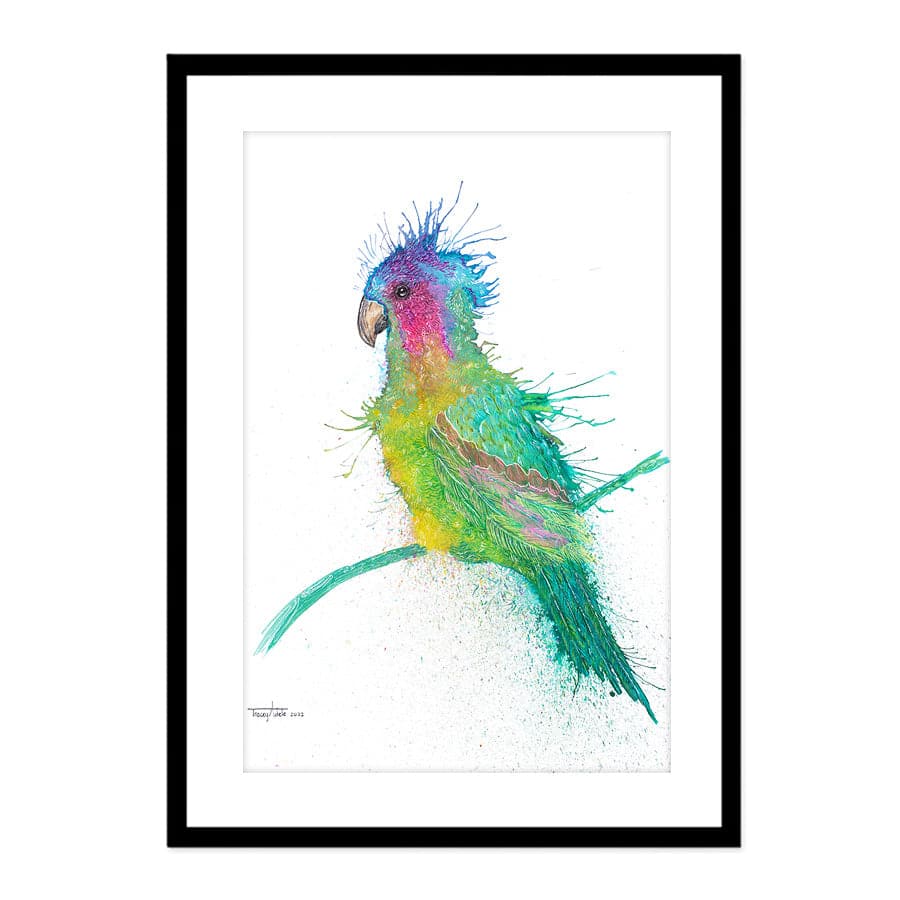 Princess Parrot by Tracey Adele