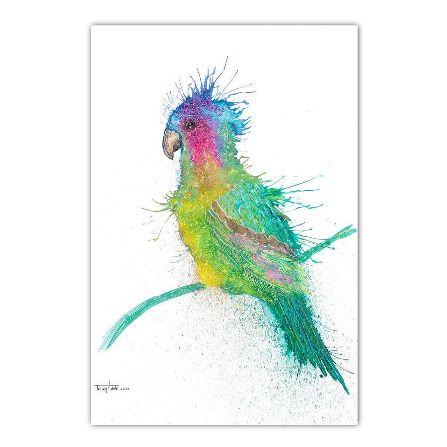 Princess Parrot by Tracey Adele
