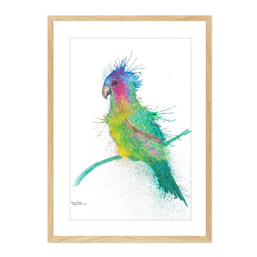 Princess Parrot by Tracey Adele