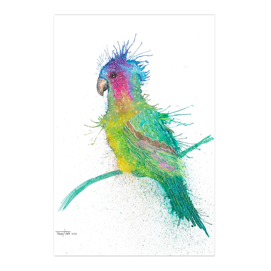 Princess Parrot by Tracey Adele