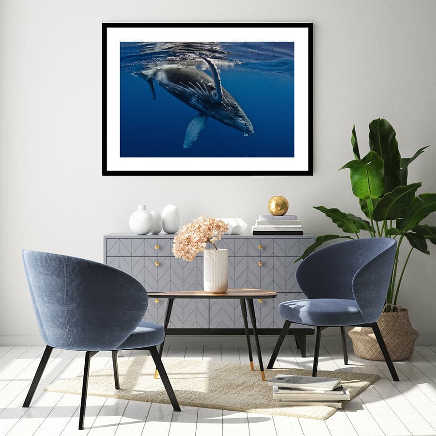 Humpback Whale by Barathieu