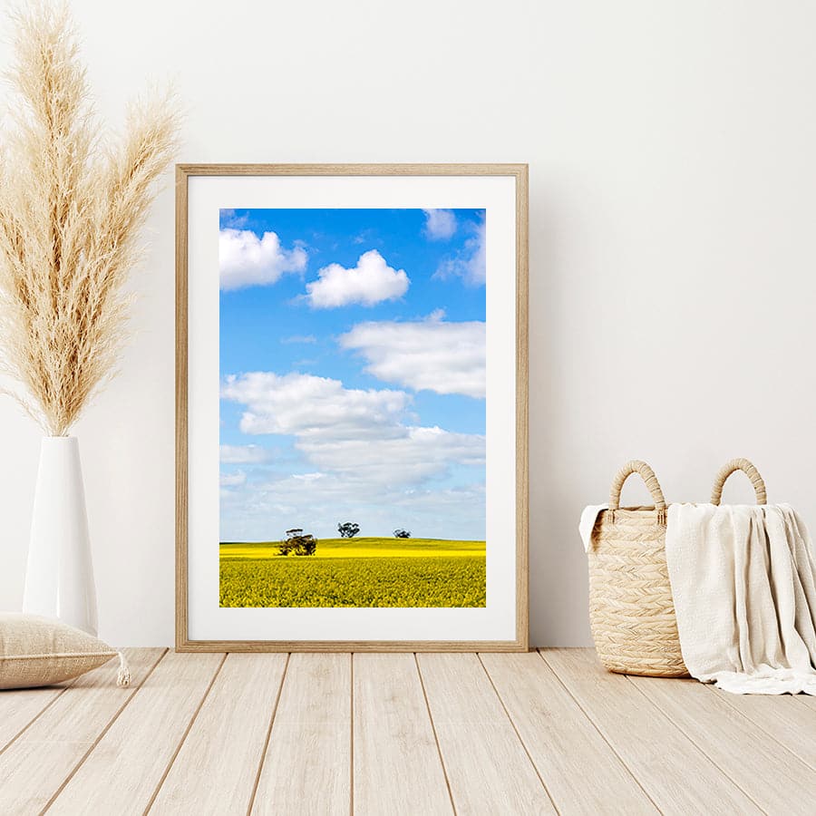 Golden Fields by Stuart McAndrew