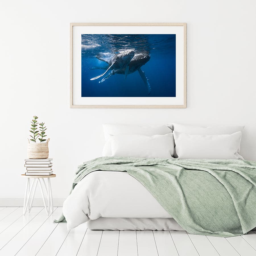 Humpback Whales by Barathieu